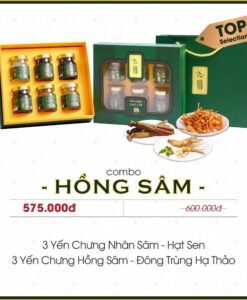 Hộp Quà Yến Chưng Hồng Sâm