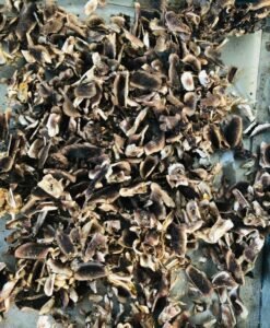 Nhung Hươu Sấy Khô (Liên Hệ Tư Vấn)