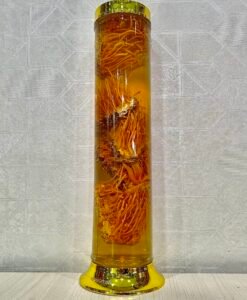 Rượu Đông Trùng Hạ Thảo 1.8 lít