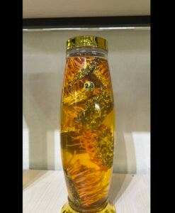 Rượu Đông Trùng Hạ Thảo 2.6 lít