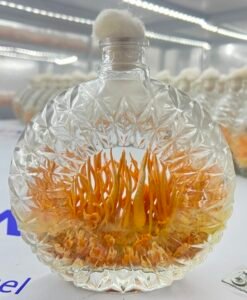 Đông Trùng Hạ Thảo Sinh Khối Tươi cấy chai XO 500ml