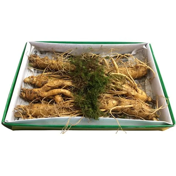 Nhân Sâm Tươi Hàn Quốc 7 Củ