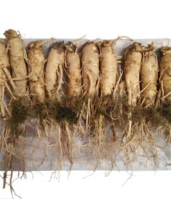 Nhân Sâm Tươi Hàn Quốc 10 Củ/kg - Hàng Đẹp Đủ Tuổi